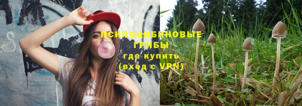 винт Баксан